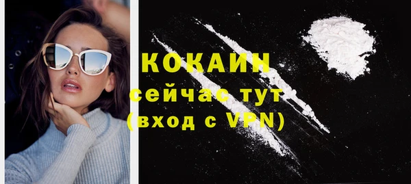 эйфоретик Ельня
