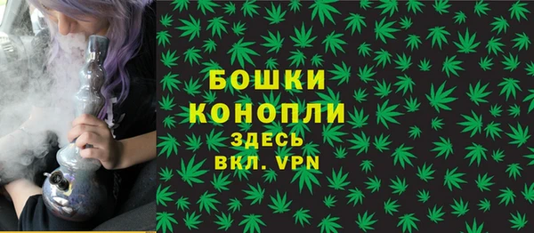 spice Елизово