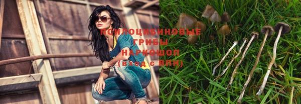 spice Елизово