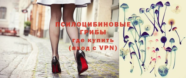 эйфоретик Ельня