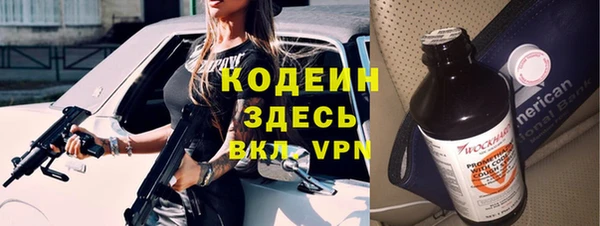 эйфоретик Ельня