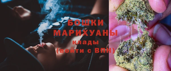эйфоретик Ельня